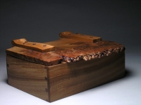 Burr elm