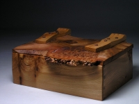 Burr elm jewellery box
