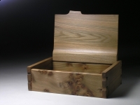 Burr wych elm