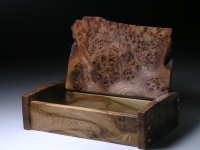 Burr elm