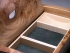 Bedside box?